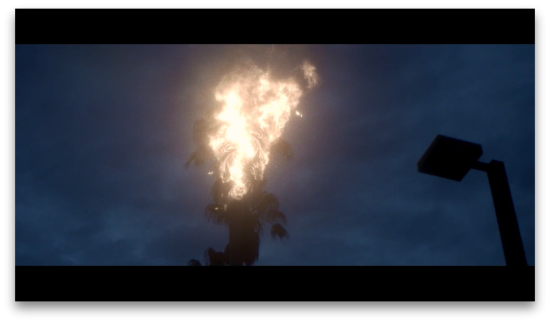 12-c2aeeed9d8af671280c07144589eede0