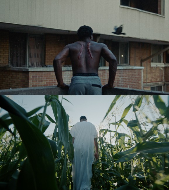 af06-fa54252b1b0675333674e5c00d17491f